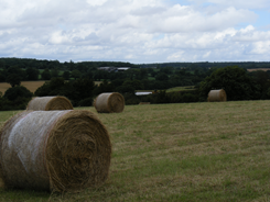 Hoar Park's Beautiful Countryside